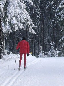 [billede: skiløber i løjpen]